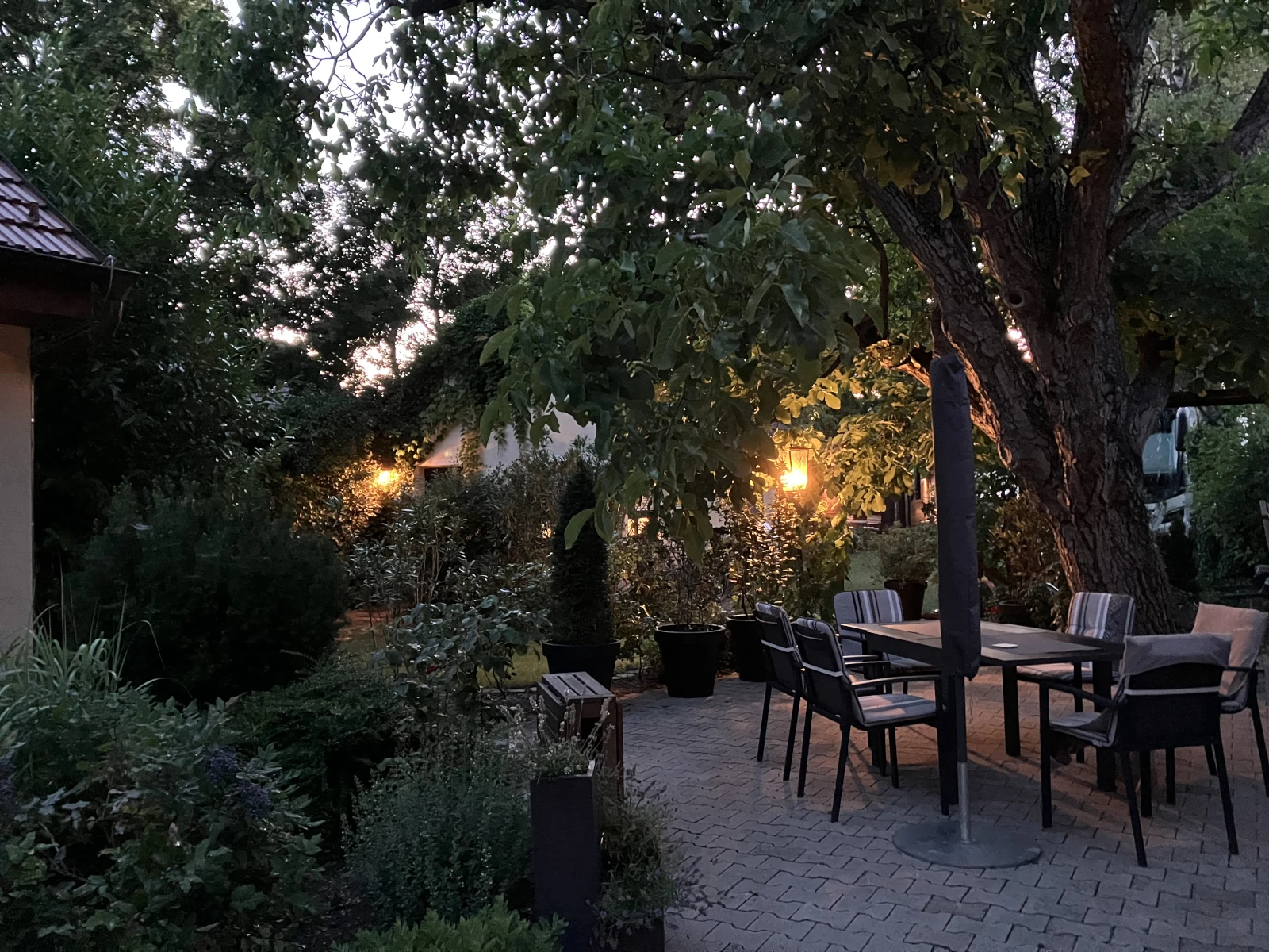 Garten am Abend